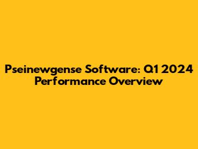 Pseinewgense Software: Q1 2024 Performance Overview