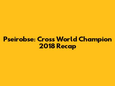 Pseirobse: Cross World Champion 2018 Recap