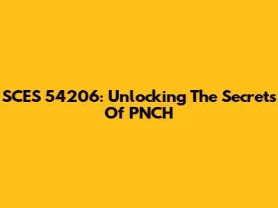 SCES 54206: Unlocking The Secrets Of PNCH