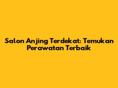 Salon Anjing Terdekat: Temukan Perawatan Terbaik
