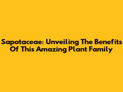 Sapotaceae: Unveiling The Benefits Of This Amazing Plant Family