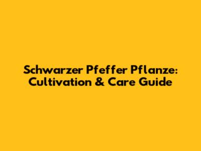 Schwarzer Pfeffer Pflanze: Cultivation & Care Guide