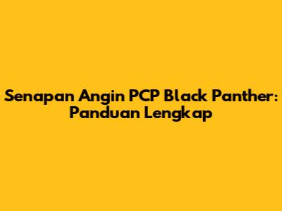 Senapan Angin PCP Black Panther: Panduan Lengkap