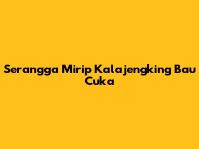 Serangga Mirip Kalajengking Bau Cuka