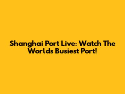 Shanghai Port Live: Watch The World's Busiest Port!