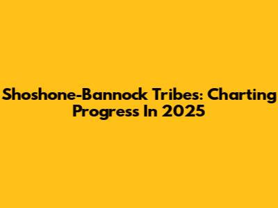 Shoshone-Bannock Tribes: Charting Progress In 2025