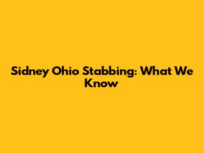 Sidney Ohio Stabbing: What We Know