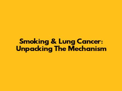 Smoking & Lung Cancer: Unpacking The Mechanism