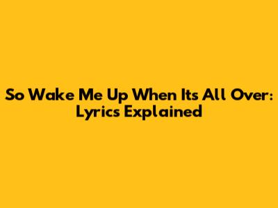 So Wake Me Up When It's All Over: Lyrics Explained