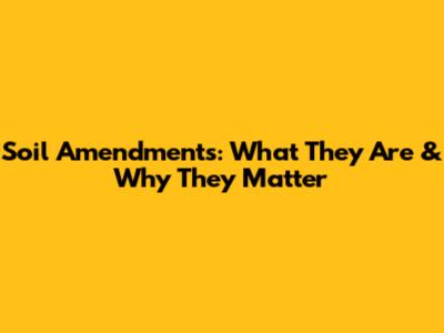 Soil Amendments: What They Are & Why They Matter