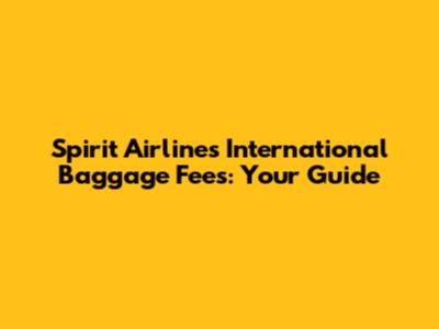 Spirit Airlines International Baggage Fees: Your Guide