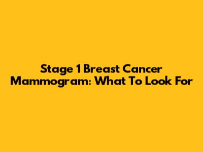 Stage 1 Breast Cancer Mammogram: What To Look For