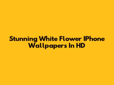 Stunning White Flower IPhone Wallpapers In HD