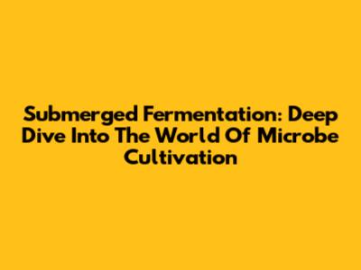 Submerged Fermentation: Deep Dive Into The World Of Microbe Cultivation