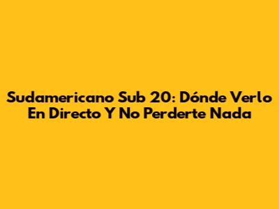 Sudamericano Sub 20: Dónde Verlo En Directo Y No Perderte Nada