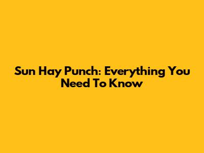 Sun Hay Punch: Everything You Need To Know