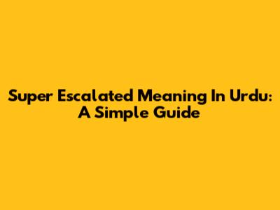 Super Escalated Meaning In Urdu: A Simple Guide