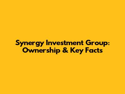 Synergy Investment Group: Ownership & Key Facts