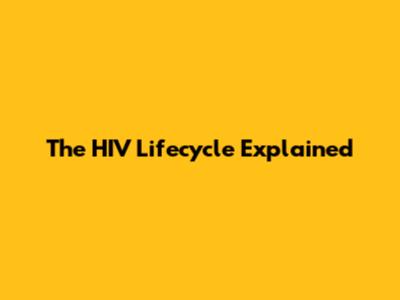 The HIV Lifecycle Explained