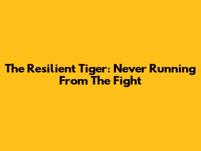 The Resilient Tiger: Never Running From The Fight