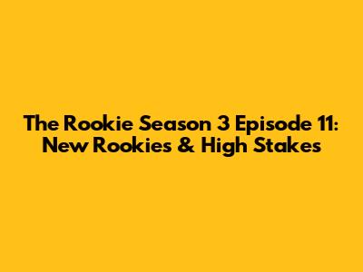 The Rookie Season 3 Episode 11: New Rookies & High Stakes