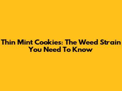 Thin Mint Cookies: The Weed Strain You Need To Know