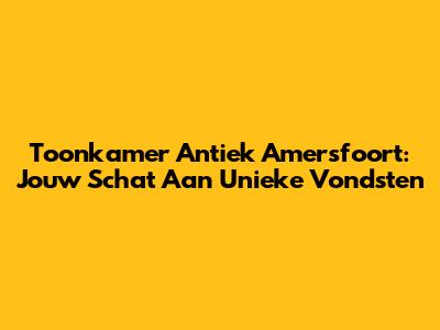 Toonkamer Antiek Amersfoort: Jouw Schat Aan Unieke Vondsten
