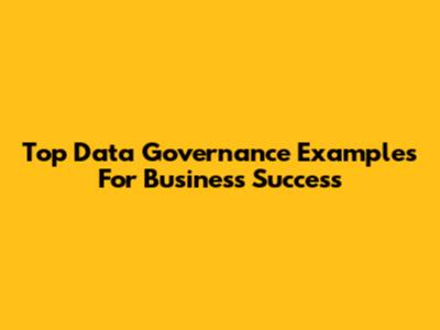 Top Data Governance Examples For Business Success
