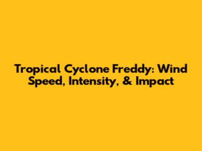 Tropical Cyclone Freddy: Wind Speed, Intensity, & Impact