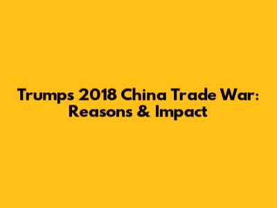Trump's 2018 China Trade War: Reasons & Impact