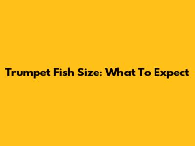 Trumpet Fish Size: What To Expect