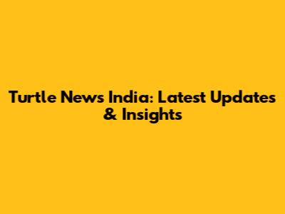 Turtle News India: Latest Updates & Insights