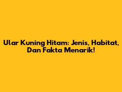 Ular Kuning Hitam: Jenis, Habitat, Dan Fakta Menarik!