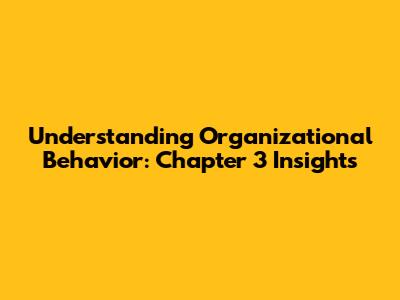 Understanding Organizational Behavior: Chapter 3 Insights