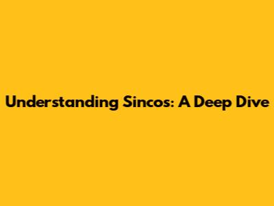 Understanding Sincos: A Deep Dive