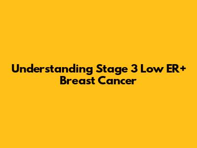 Understanding Stage 3 Low ER+ Breast Cancer