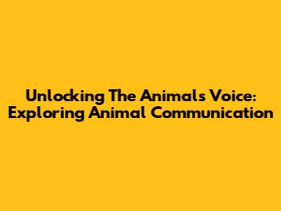 Unlocking The Animals' Voice: Exploring Animal Communication