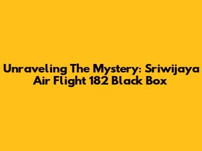 Unraveling The Mystery: Sriwijaya Air Flight 182 Black Box