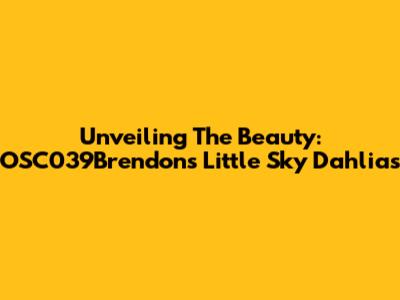 Unveiling The Beauty: OSC039Brendon's Little Sky Dahlias