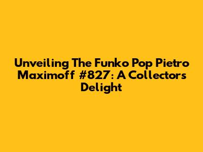 Unveiling The Funko Pop Pietro Maximoff #827: A Collector's Delight