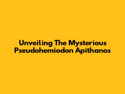 Unveiling The Mysterious Pseudohemiodon Apithanos
