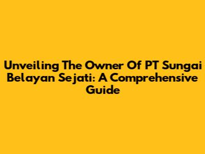 Unveiling The Owner Of PT Sungai Belayan Sejati: A Comprehensive Guide