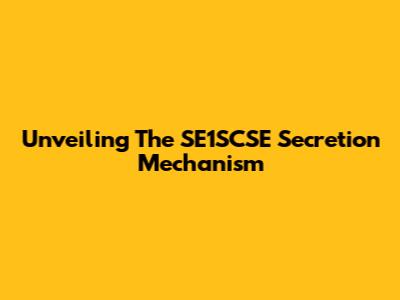 Unveiling The SE1SCSE Secretion Mechanism
