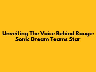 Unveiling The Voice Behind Rouge: Sonic Dream Team's Star