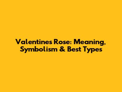 Valentine's Rose: Meaning, Symbolism & Best Types