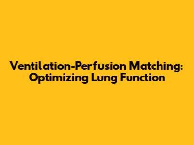 Ventilation-Perfusion Matching: Optimizing Lung Function