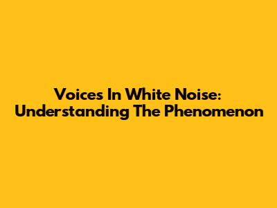 Voices In White Noise: Understanding The Phenomenon