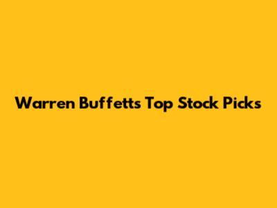 Warren Buffett's Top Stock Picks