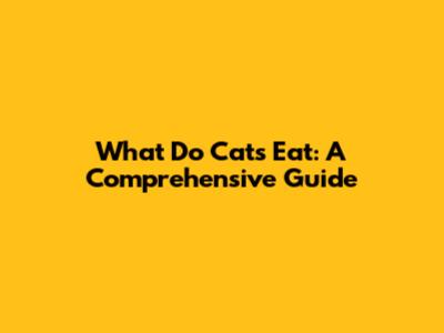 What Do Cats Eat: A Comprehensive Guide
