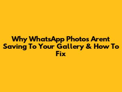 Why WhatsApp Photos Aren't Saving To Your Gallery & How To Fix